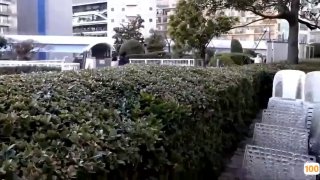 170cm修长美腿少妇，沙发上操深喉口交大屌，上位骑乘往下坐，抽插打桩极度诱惑